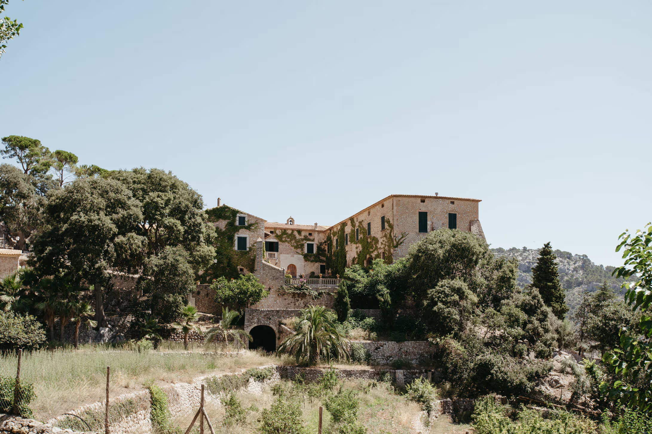 The finca